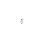 2CCF019642R0001 ABB - s804pv-sd125